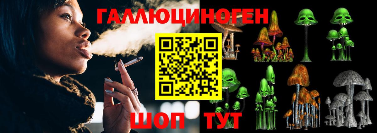 Псилоцибиновые грибы MAGIC MUSHROOMS Губкинский